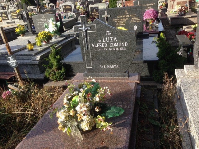 Alfred Łuza 1937 Białystok - Grobonet - Wyszukiwarka osób pochowanych