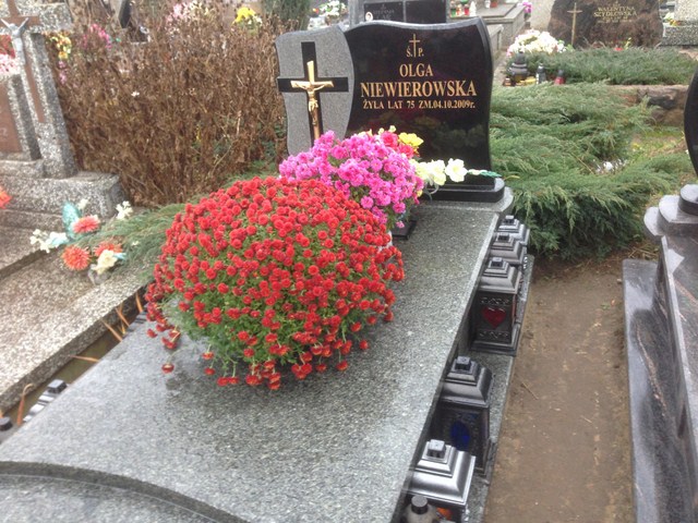 Olga Niewiarowska 1934 Białystok - Grobonet - Wyszukiwarka osób pochowanych
