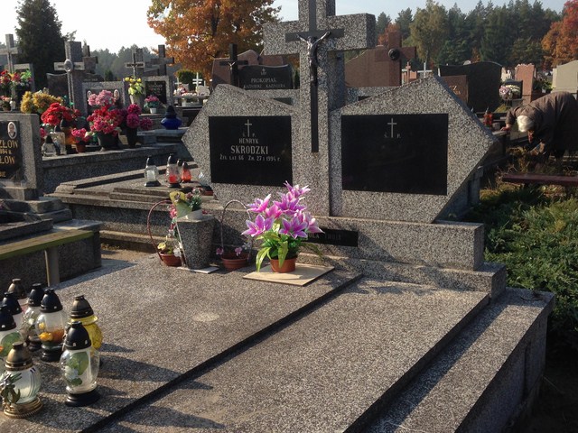 Ryszarda Skrodzka-Zdanewicz 1931 Białystok - Grobonet - Wyszukiwarka osób pochowanych