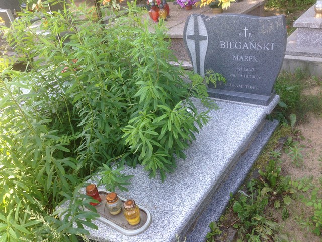 Marek Biegański 1960 Białystok - Grobonet - Wyszukiwarka osób pochowanych