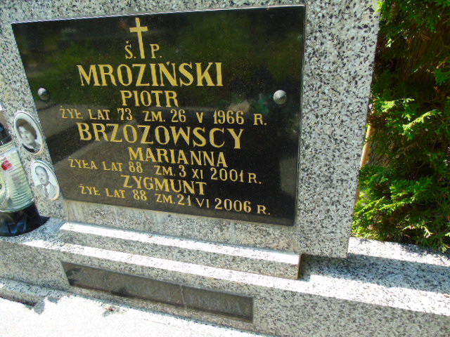 Grób Zygmunt Brzozowski