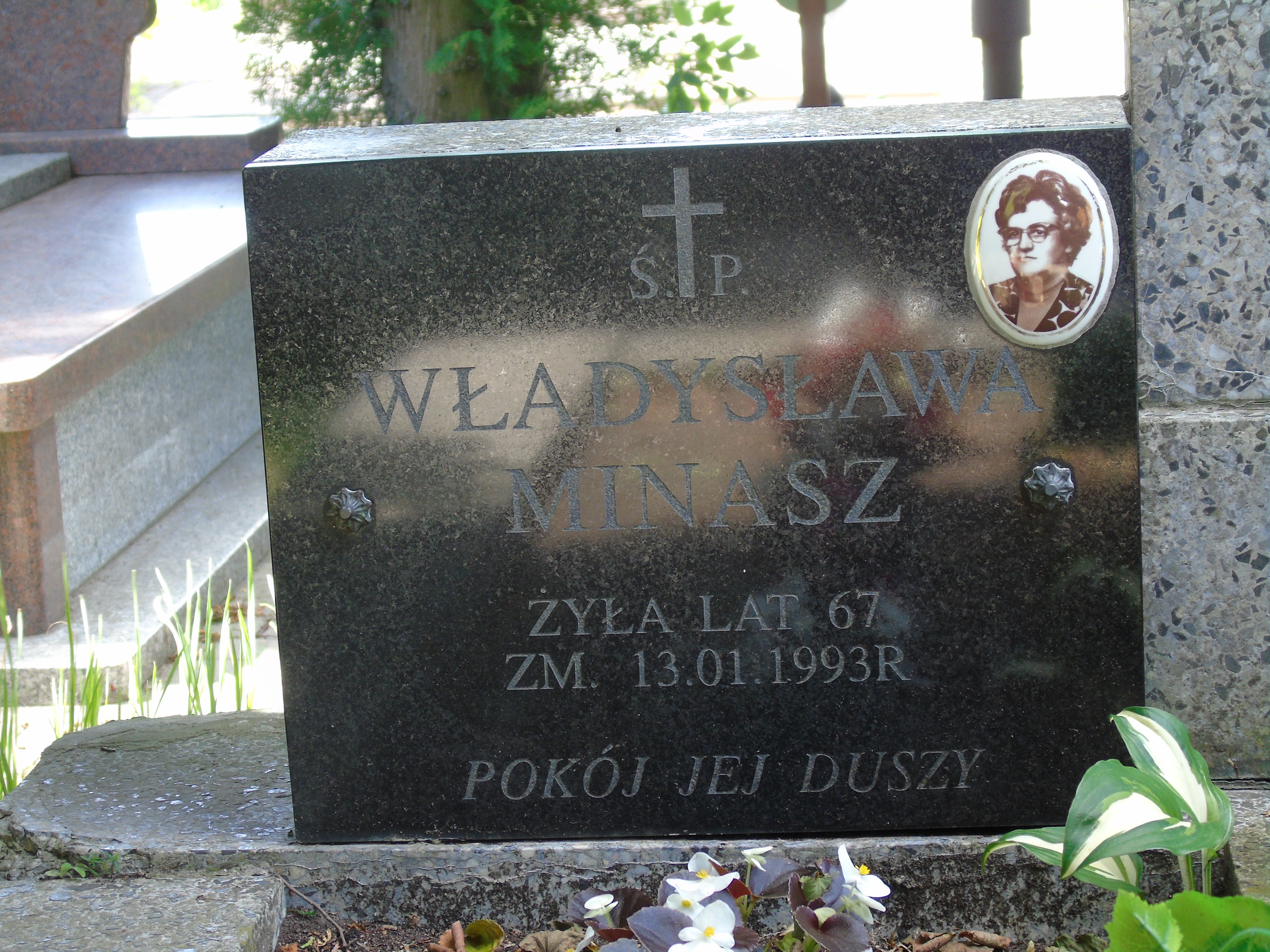 Zygfryd Minasz 1917 Białystok - Grobonet - Wyszukiwarka osób pochowanych