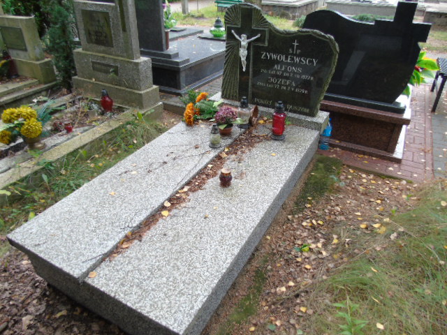 Alfons Żywolewski 1905 Białystok - Grobonet - Wyszukiwarka osób pochowanych