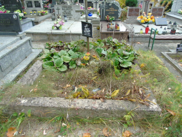 Andrzej Ludwik 1935 Białystok - Grobonet - Wyszukiwarka osób pochowanych