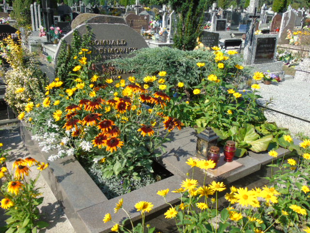 Jan Stankiewicz 1957 Białystok - Grobonet - Wyszukiwarka osób pochowanych