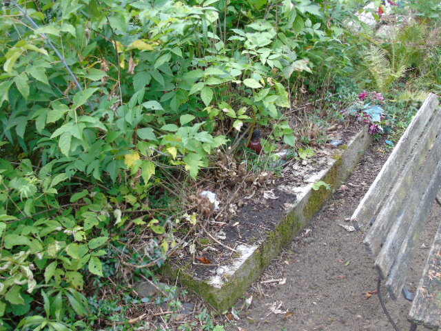 Elżbieta Łuczaj 1949 Białystok - Grobonet - Wyszukiwarka osób pochowanych