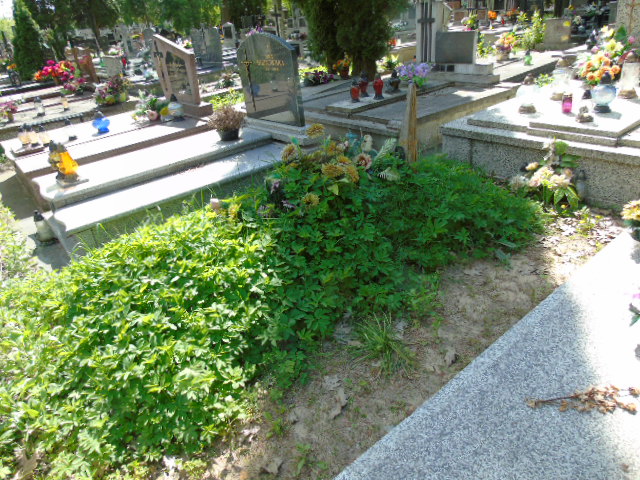 Adam Chudzian 1931 Białystok - Grobonet - Wyszukiwarka osób pochowanych