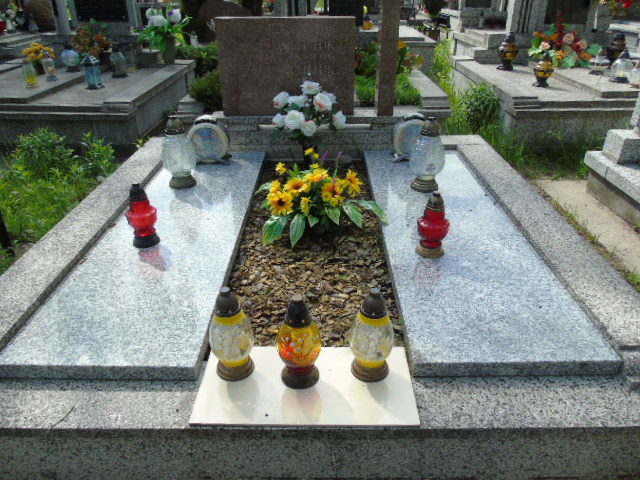 Józef Michaluk 1928 Białystok - Grobonet - Wyszukiwarka osób pochowanych