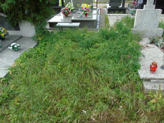 Adam Snihura 1937 Białystok - Grobonet - Wyszukiwarka osób pochowanych