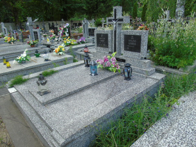 Marek Karny 1946 Białystok - Grobonet - Wyszukiwarka osób pochowanych