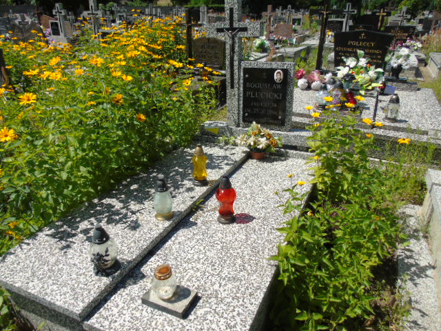 Bogusław Plucicki 1962 Białystok - Grobonet - Wyszukiwarka osób pochowanych