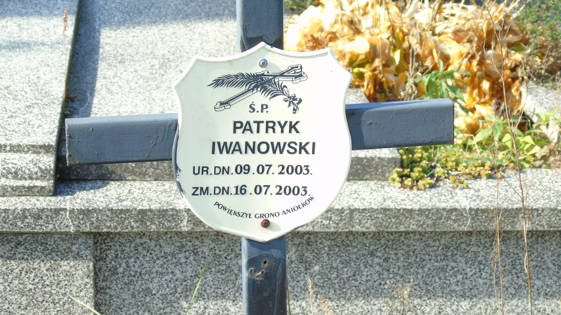 Zdjęcie grobu