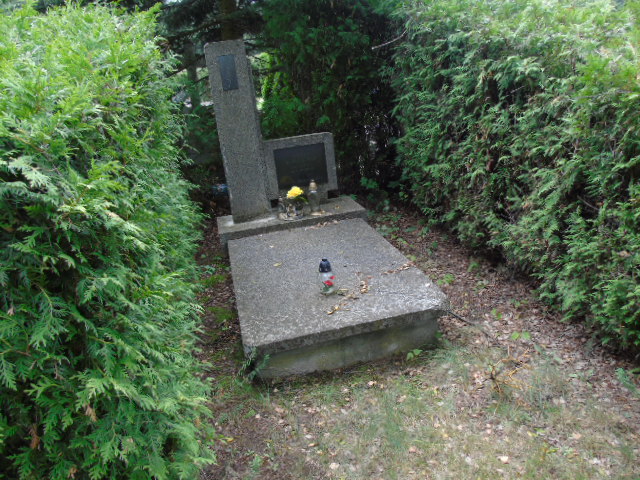 Alojzy Sokólski 1888 Białystok - Grobonet - Wyszukiwarka osób pochowanych