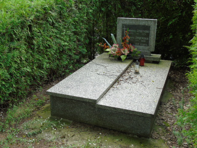 Andrzej Żmijewski 1912 Białystok - Grobonet - Wyszukiwarka osób pochowanych